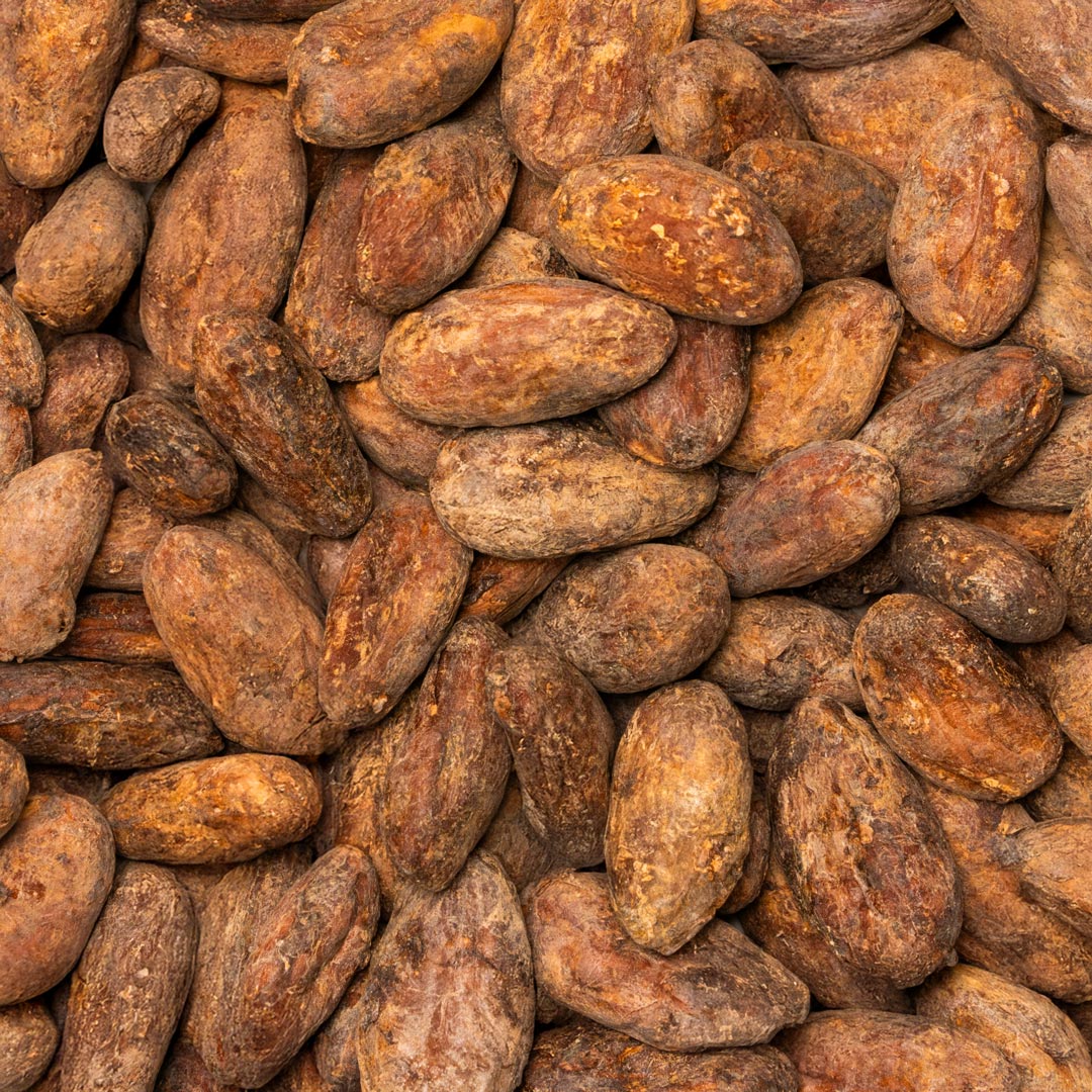 Barretta di Cioccolato Funzionale Mindfulness - Dose Quotidiana per Calma e Chiarezza con Reishi e Ashwagandha