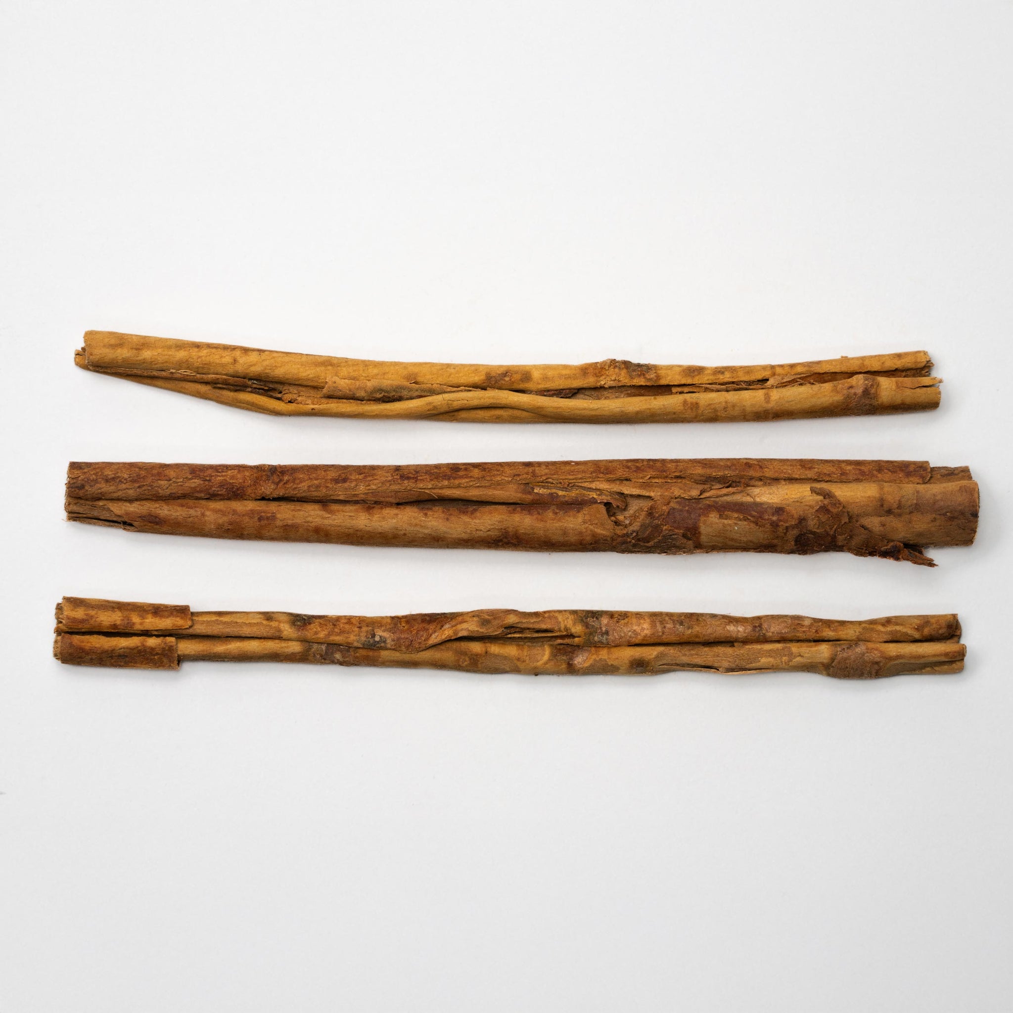 Focus  Zeremonieller Kakao -  eine Mischung aus zeremoniellem Kakao, Löwenmähne , Cordyceps und Gewürzen