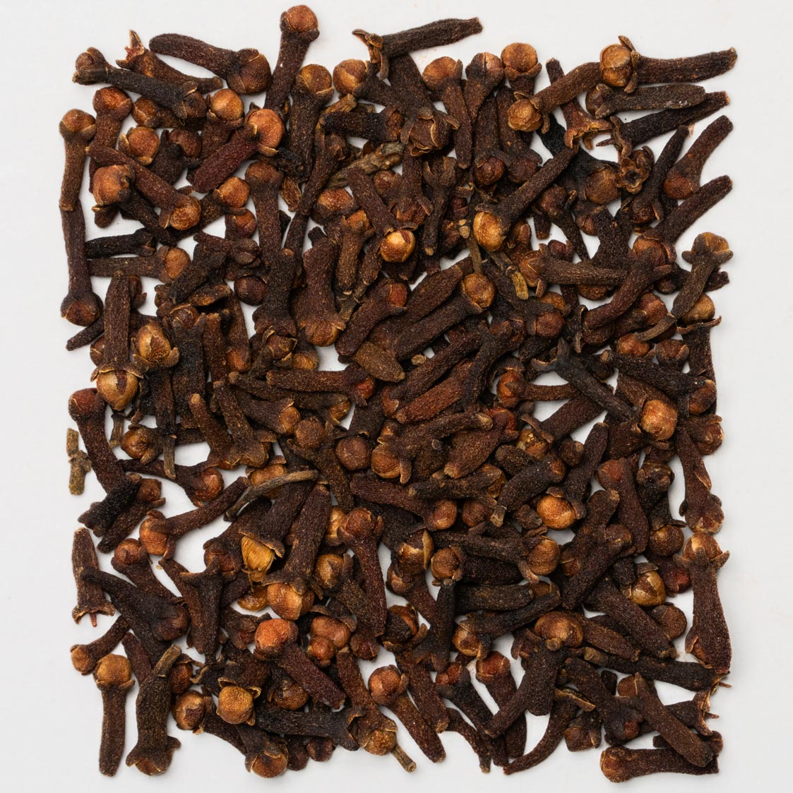 Focus  Zeremonieller Kakao -  eine Mischung aus zeremoniellem Kakao, Löwenmähne , Cordyceps und Gewürzen