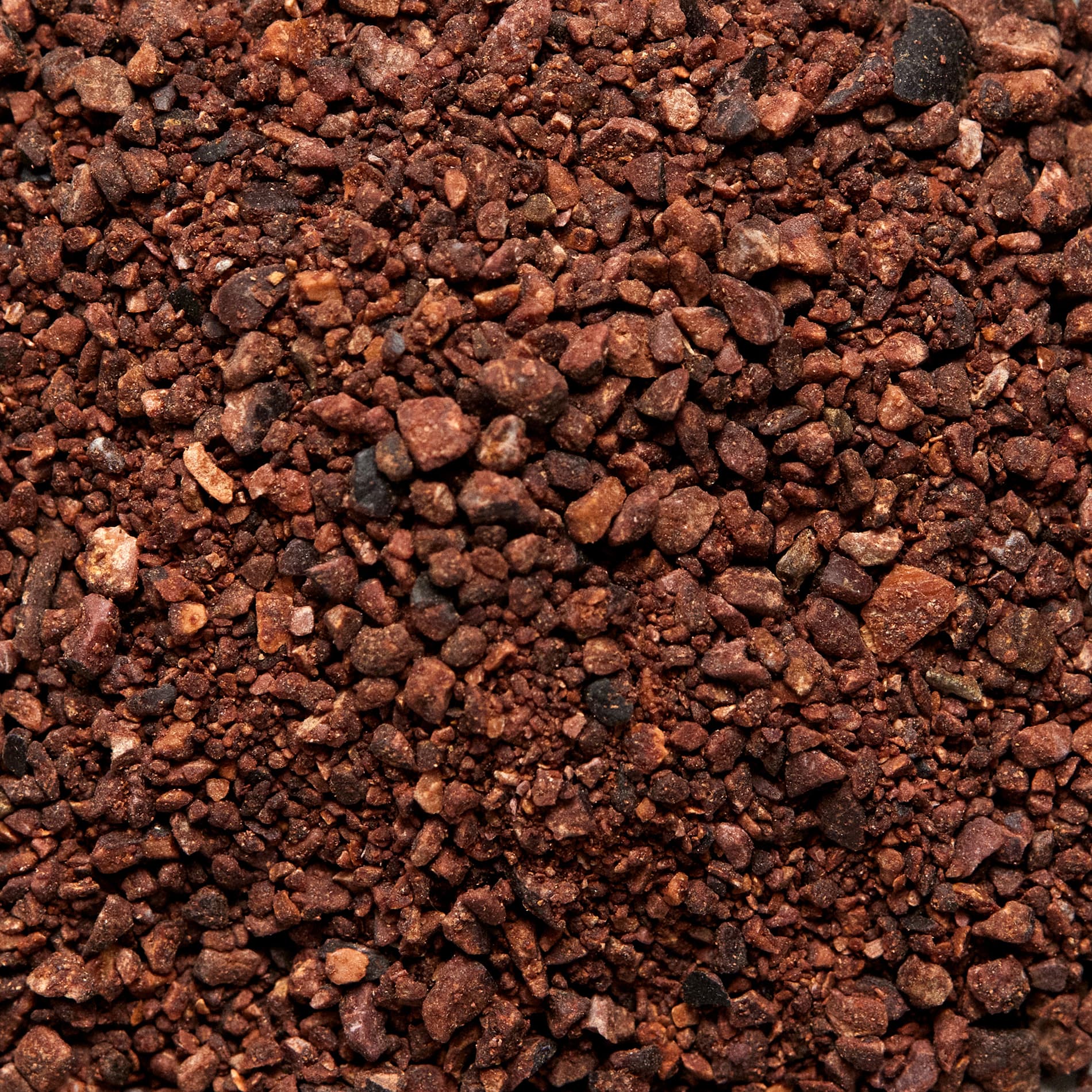 Infusión de cacao 100% Cacao Brew